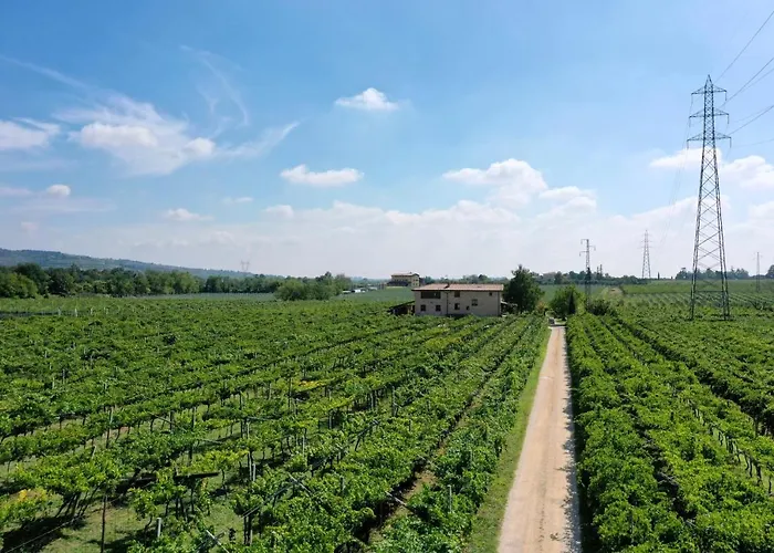 Corte Odorico * Pedemonte