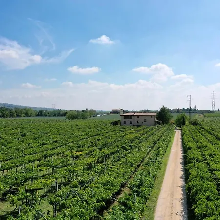 Corte Odorico * 페데몬테